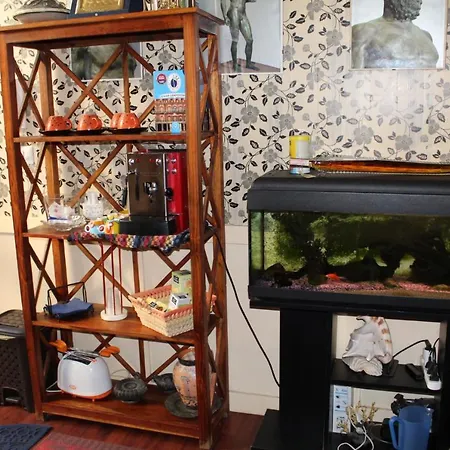 Anirbas Отель типа 